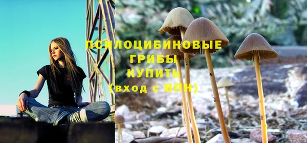 первитин Балахна