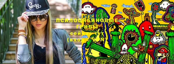 первитин Балахна
