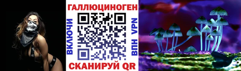 Галлюциногенные грибы Cubensis  Купить где  Губкин 